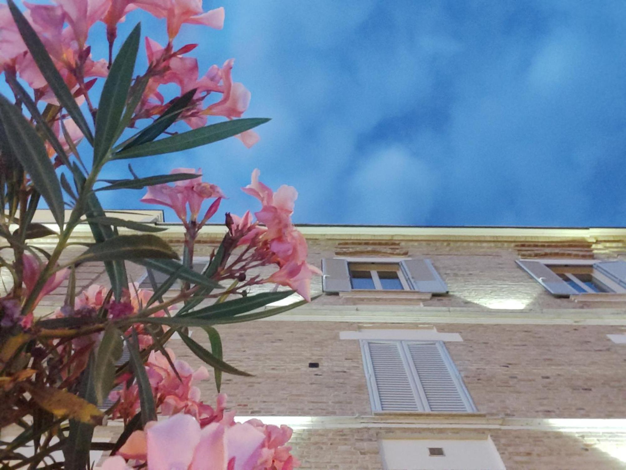 Cossignano Villa Contessina מראה חיצוני תמונה